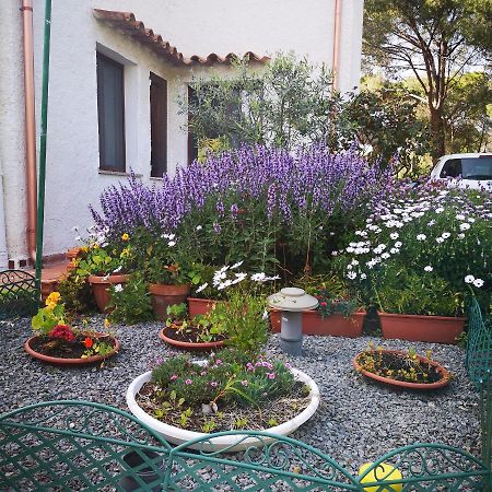 Villa Manuela プーラ エクステリア 写真